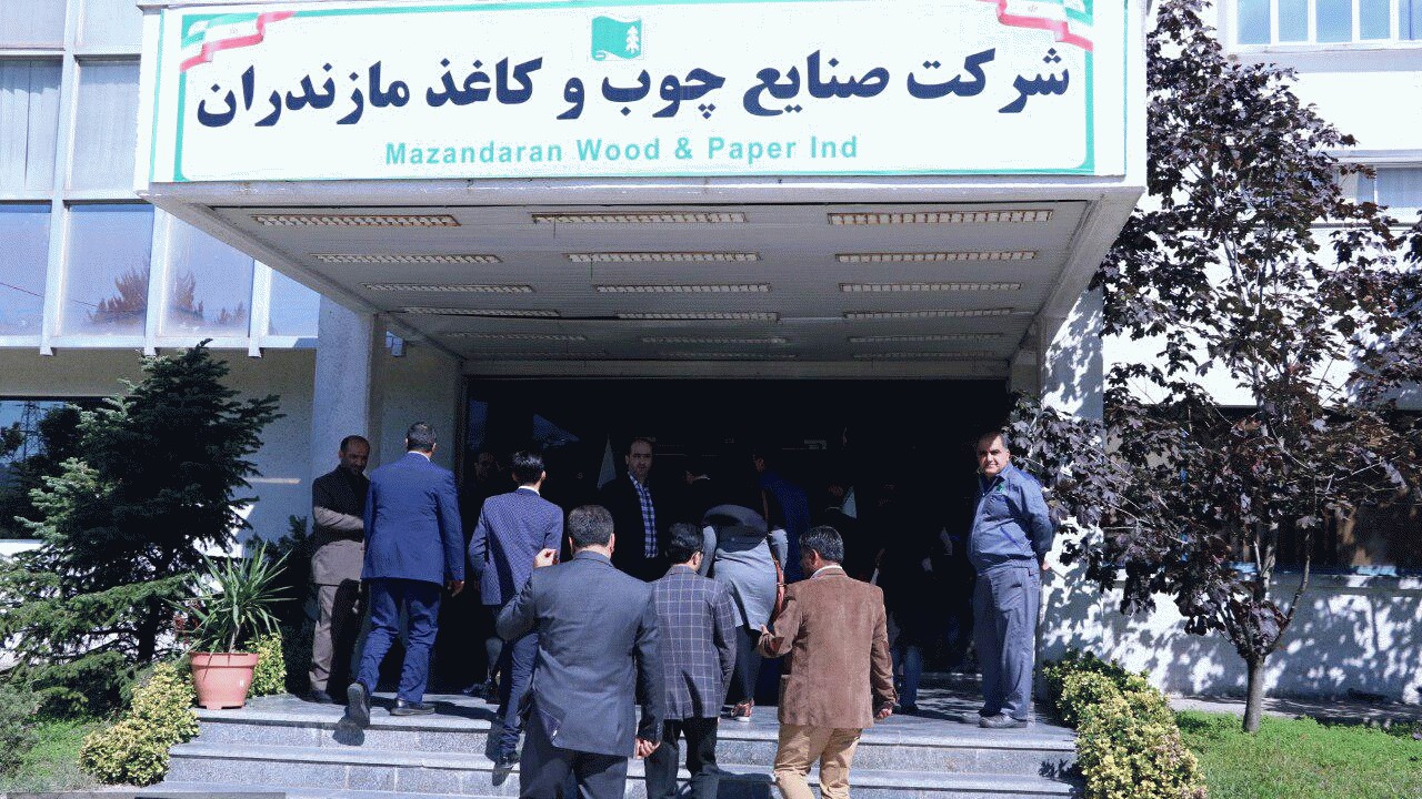 رفوزگی صنایع چوب و کاغذ مازندران در بحران