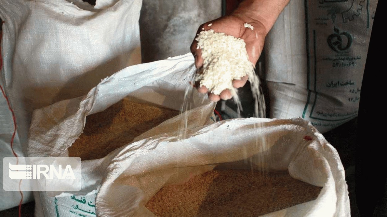 چشم کشاورزان مازندرانی به حاشیه سود بازار برنج تهران