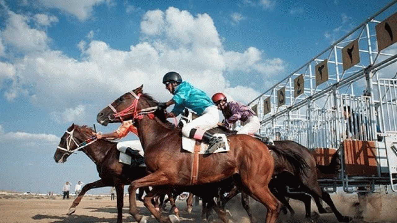 برگزاری مسابقات اسب سواری در بهشهر