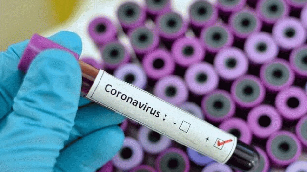 موردی از ابتلای به ویروس کرونا در مازندران گزارش نشده است