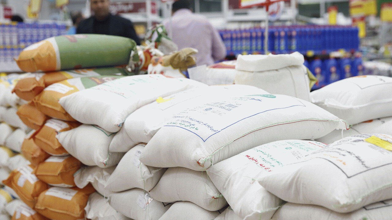 برنج مازندران همچنان در دست دلالان