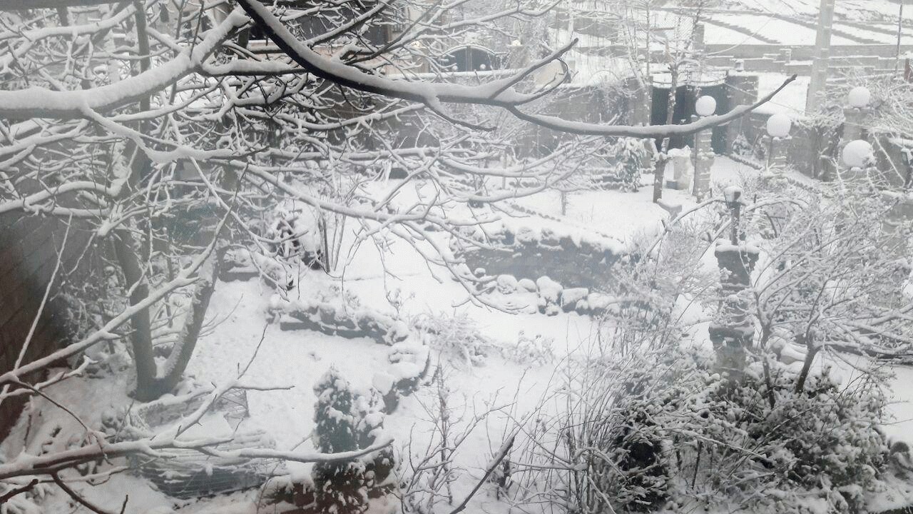 1750 روستای مازندران درگیر برف شدند