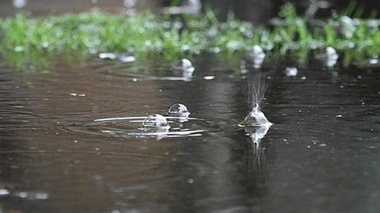بارش پراکنده باران در مازندران و گیلان