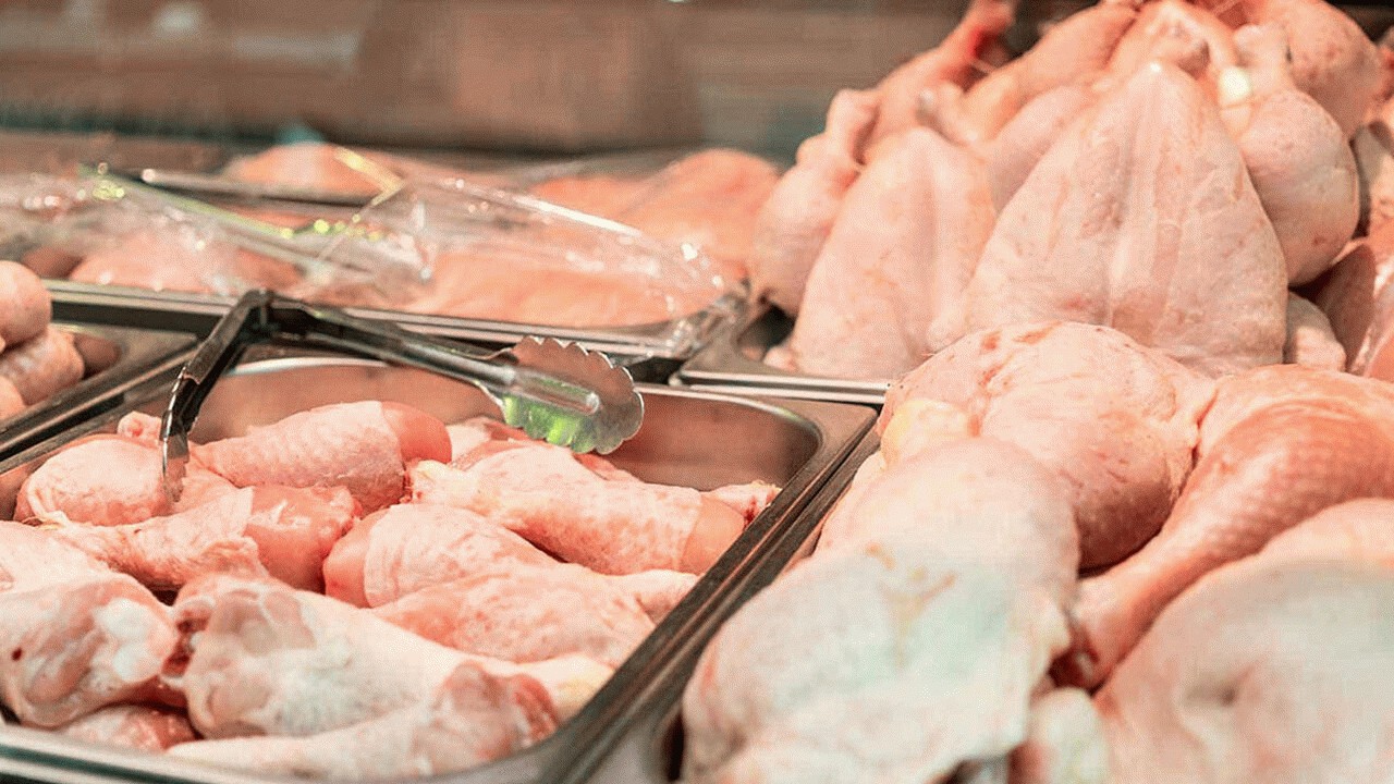 ارسال روزانه ۴۰۰ تن مرغ آماده طبخ از مازندران به تهران