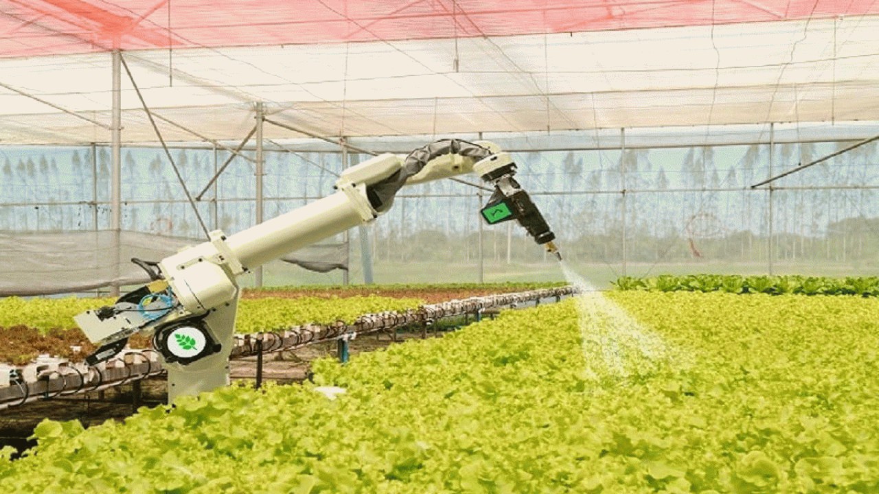 ظهور هوش مصنوعی در صنایع غذایی