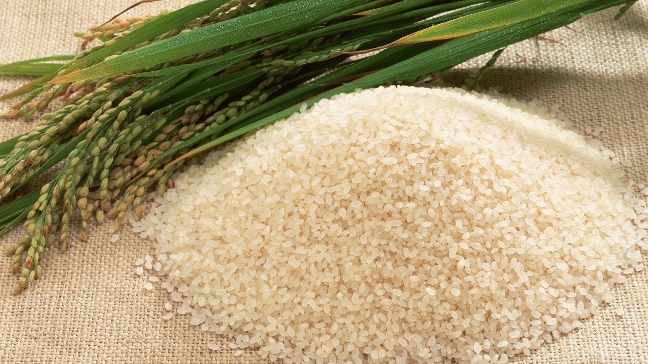 بلاتکلیفی بازار برنج پس از یک ماه