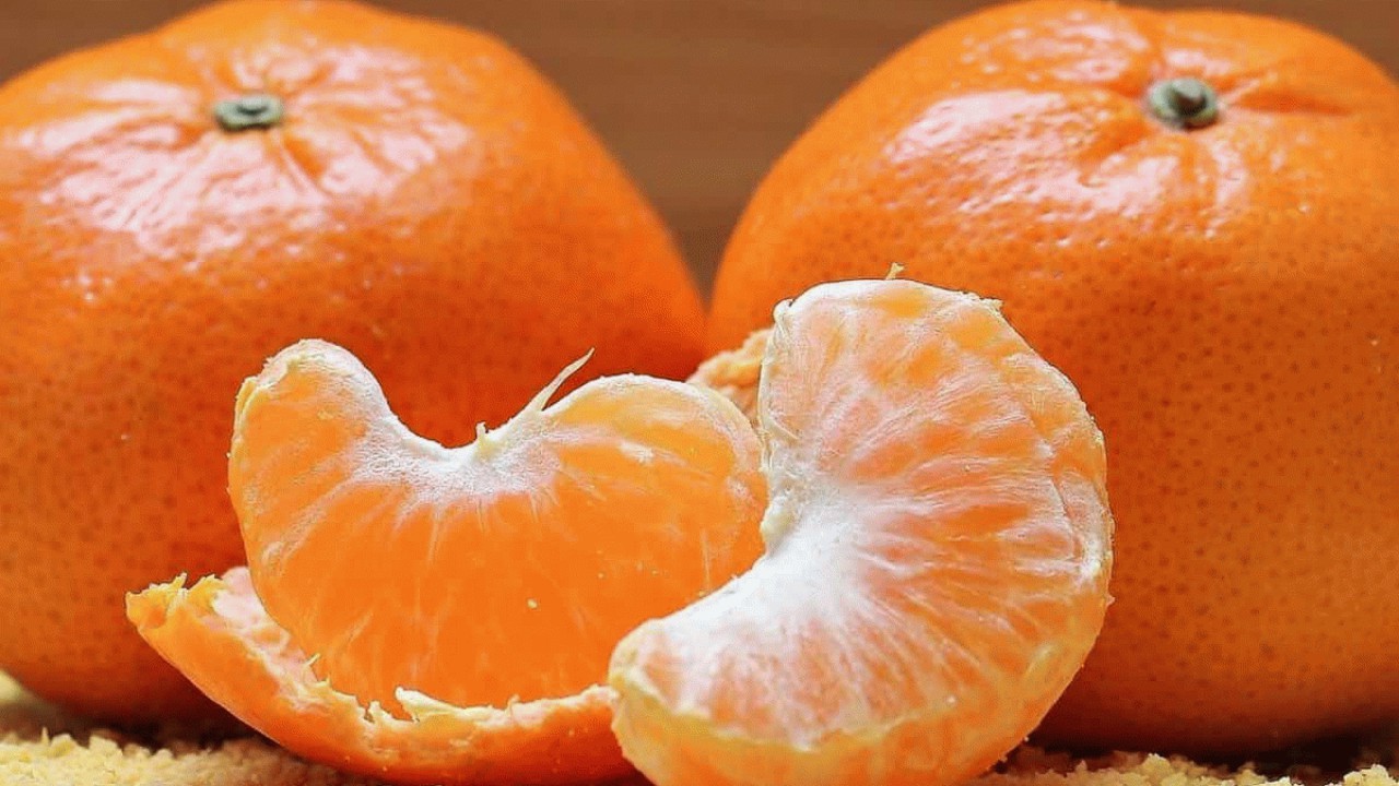 80 تن نارنگی از مازندران به روسیه صادر می شود