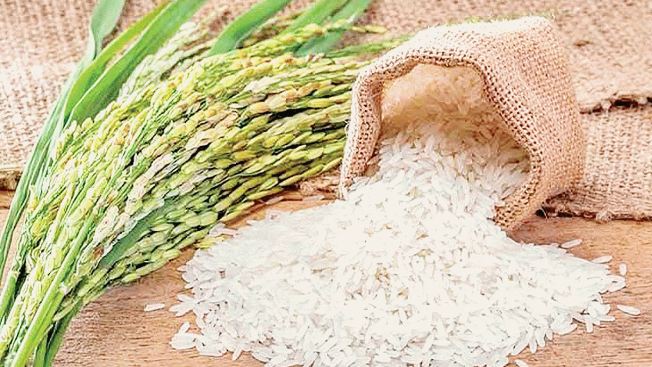 اعلام جدید‌ترین قیمت برنج در بازار
