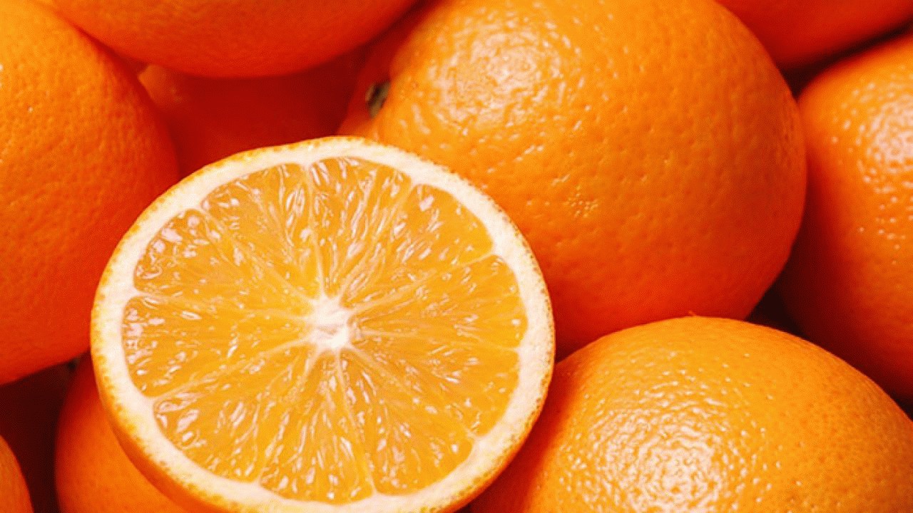 پرتقال جنوب گران تر از شمال!