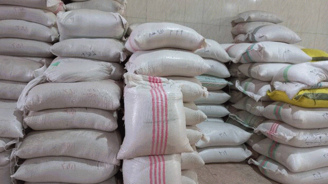 600 هزار تن برنج بی خریدار درمازندران خاک می خورد
