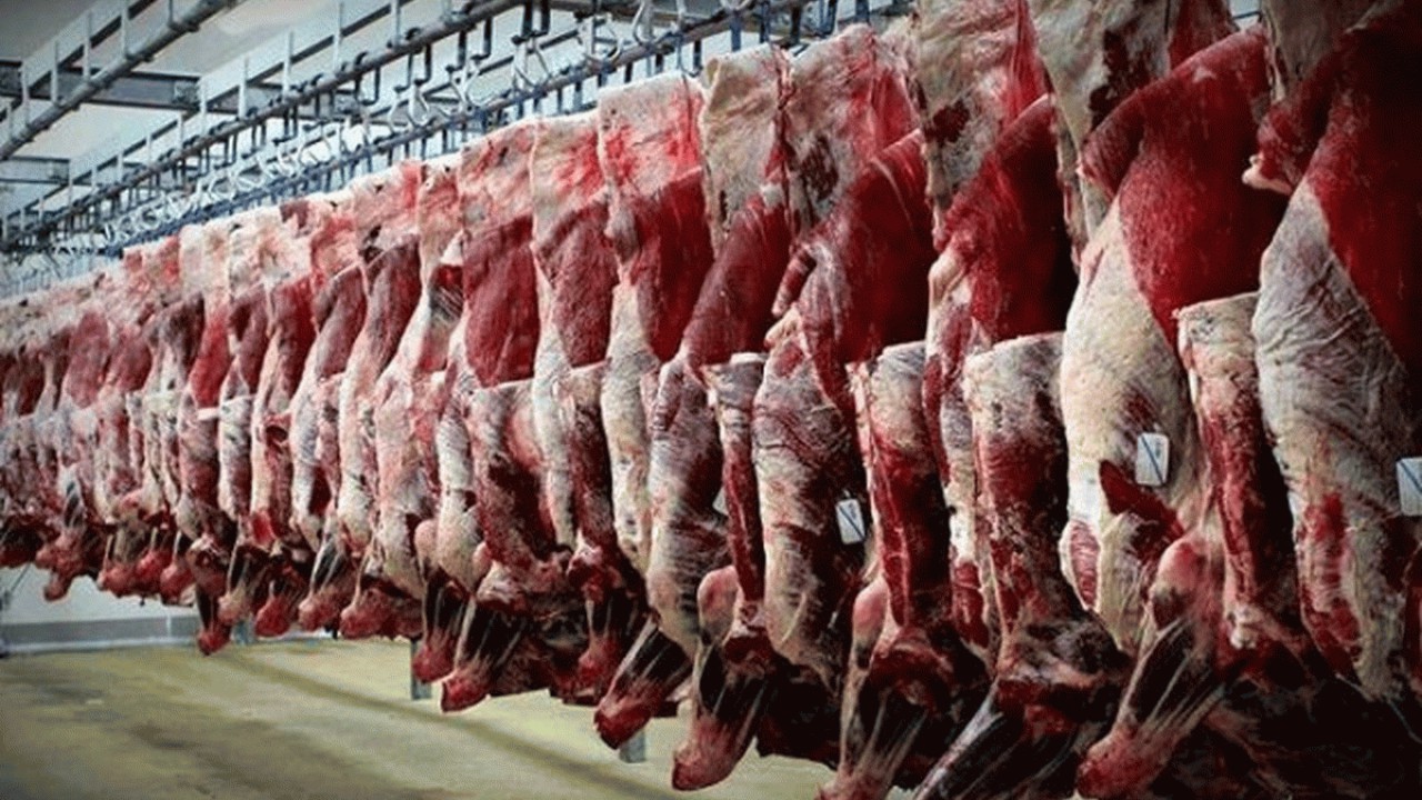 سود چرب و پردمبه دلالان  بازار گوشت