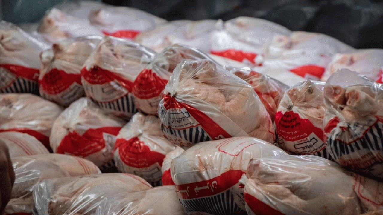 ۲۱ هزار تن گوشت مرغ در راه بازار