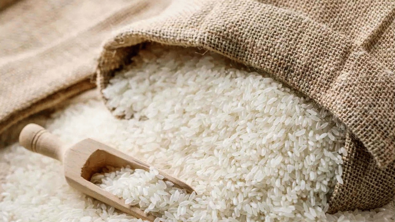 400 برنج پرمحصول از کشاورزان مازندرانی خریداری شد