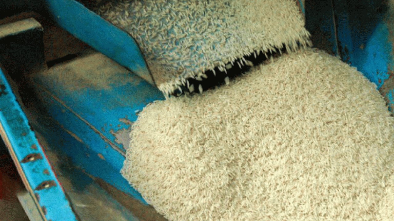 حدود یک میلیون تن برنج سفید در مازندران تولید شد