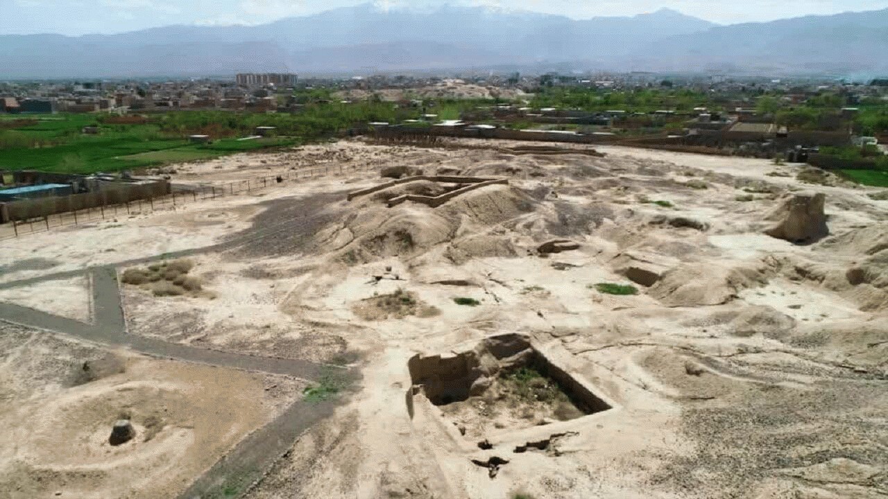 قدمت 3000 ساله کشت برنج در مازندران