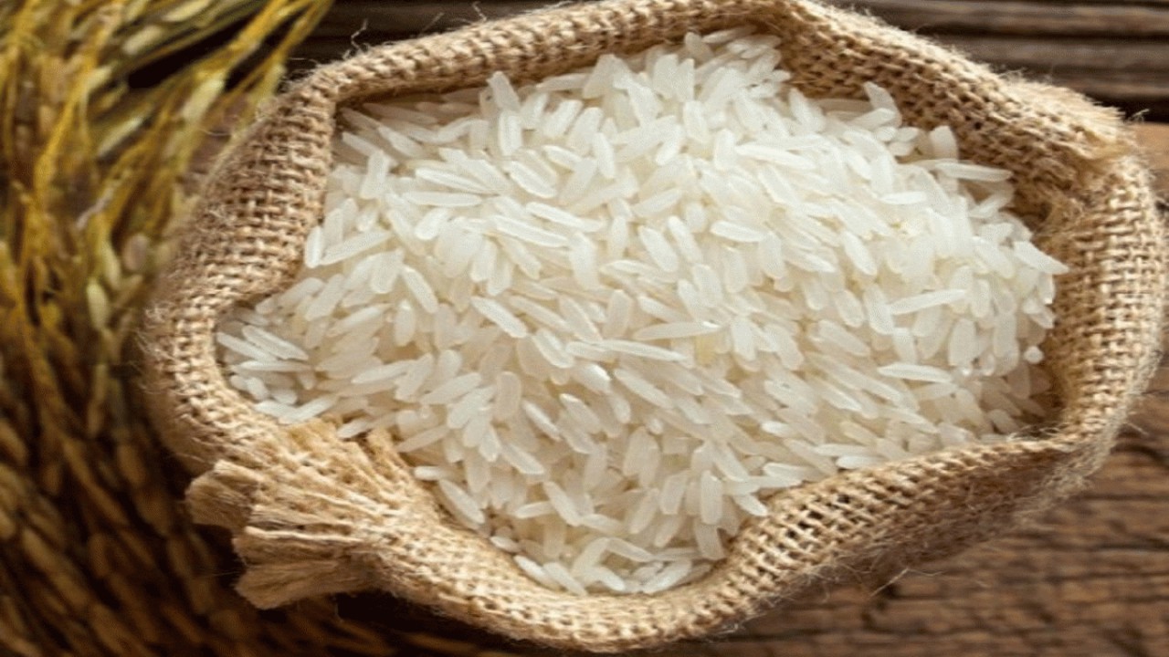 مجوز واردات فقط در صورت کمبود برنج