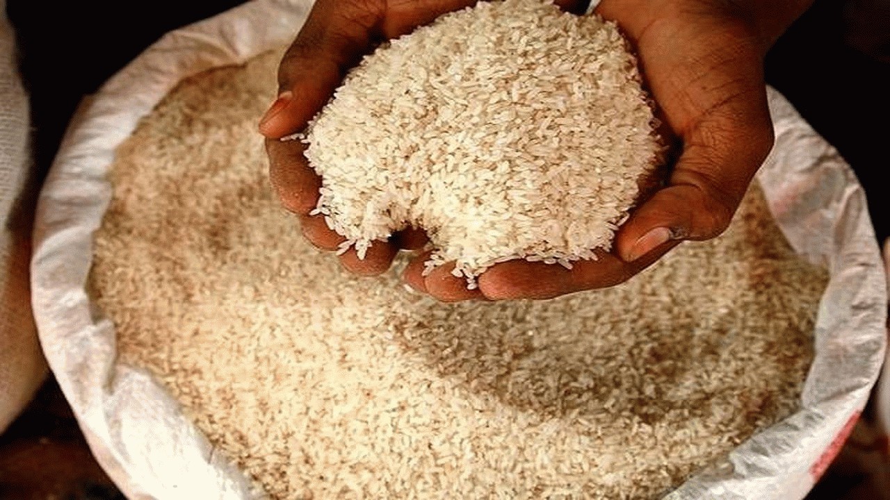 با واردات برنج حق کشاورزان پایمال می شود