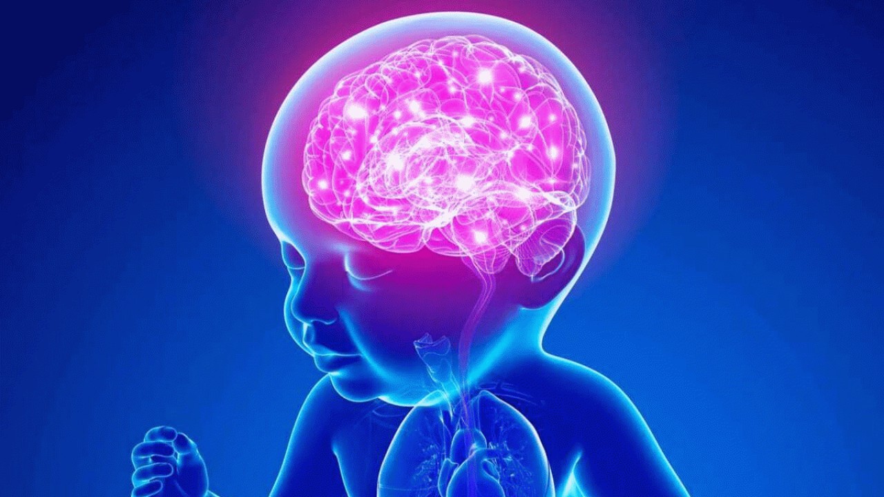 اختلال آهنگ رشد مغز مهم‌ترین علت لجبازی کودکان