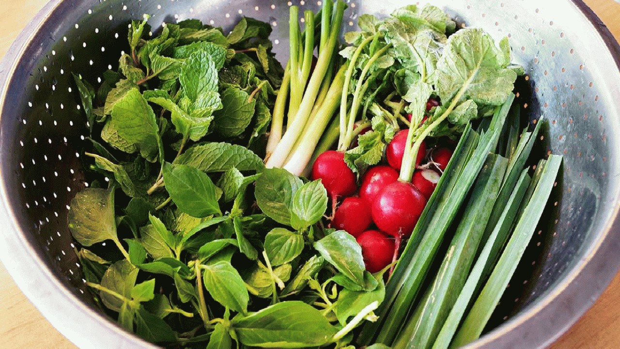 آموزش نحوه کاشت سبزیجات در خانه