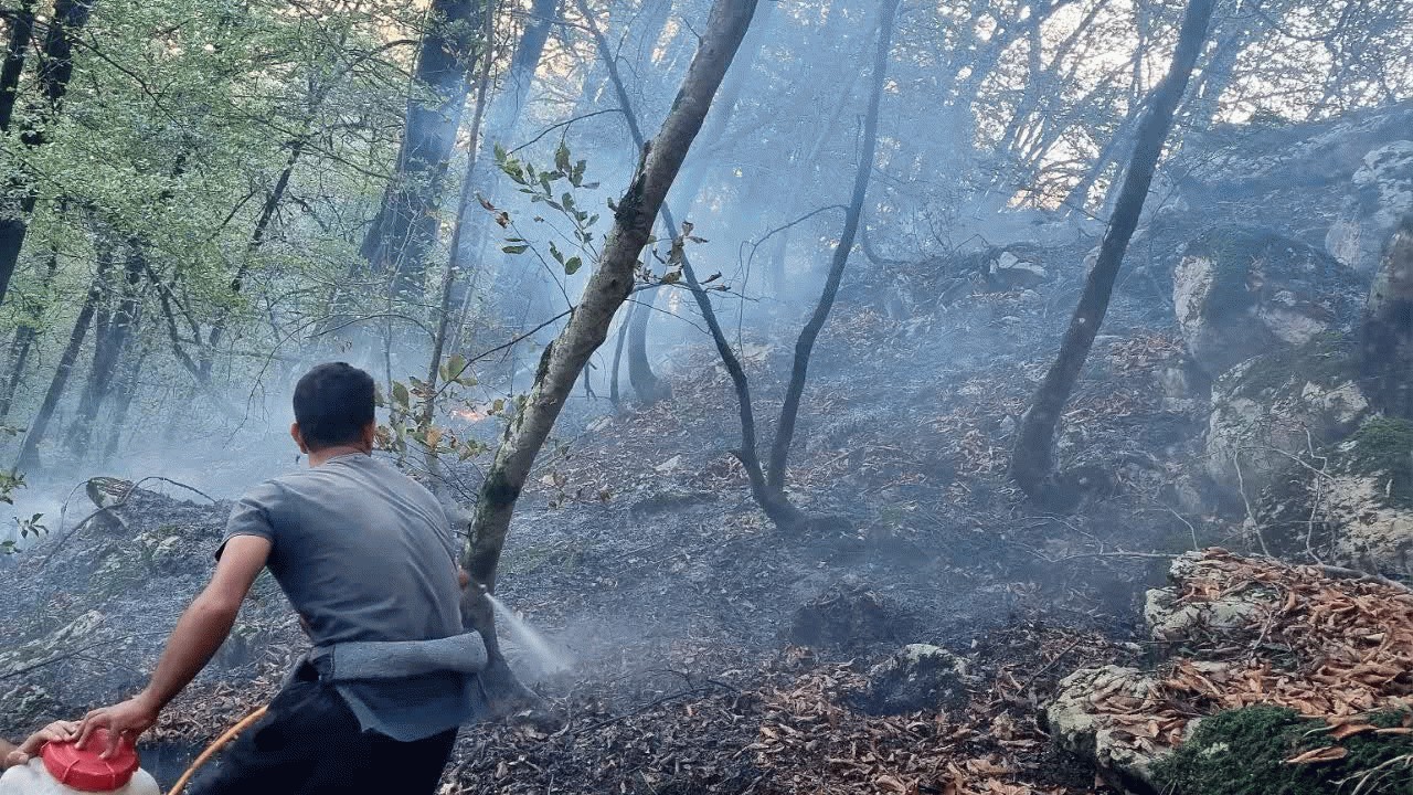 جنگل گردی آتش در مازندران به شوراب کجور رسید
