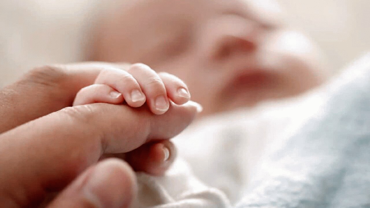 تولد ۳ نوزاد در کلینیک درمان ناباروری بهشهر