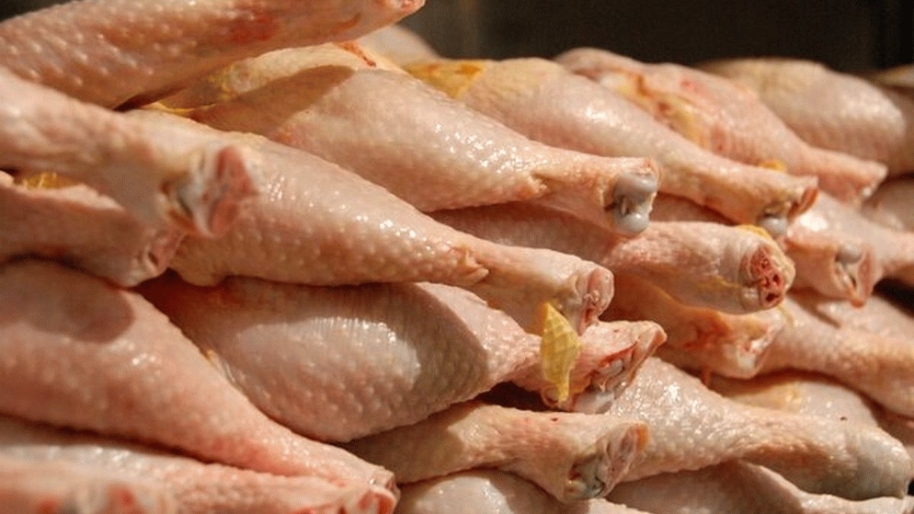 کاهش قیمت گوشت مرغ در مازندران