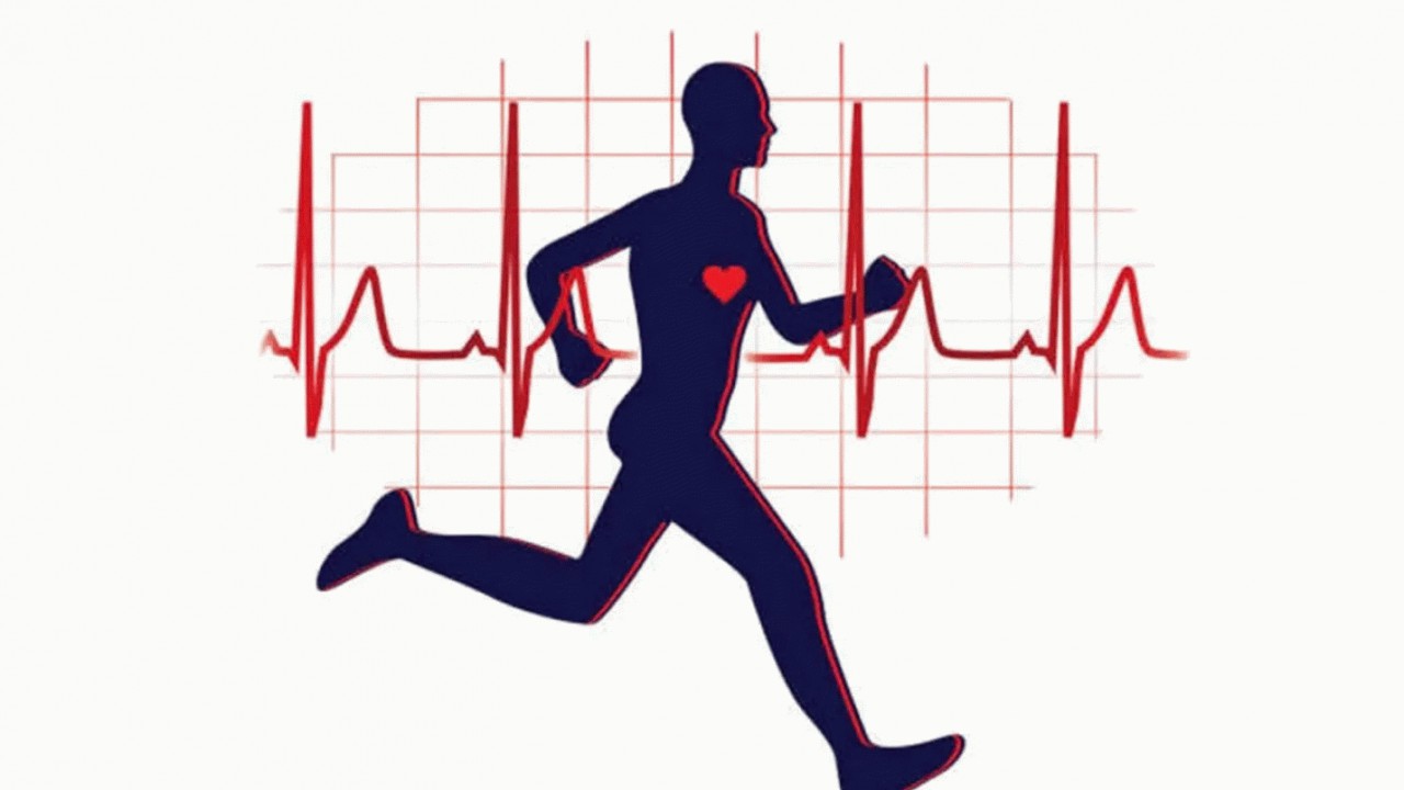 ورزشی که خطر حمله قلبی را افزایش میدهد