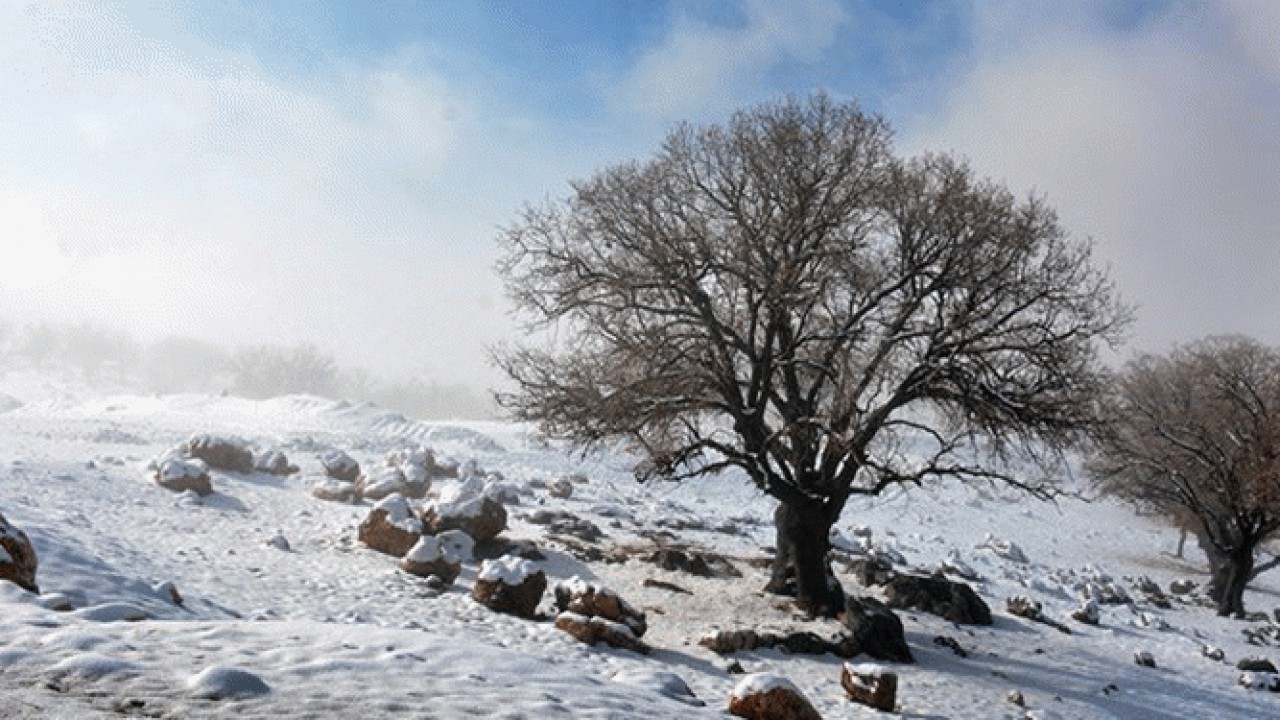 برف و کولاک از بامداد جمعه در محور‌های کوهستانی مازندران