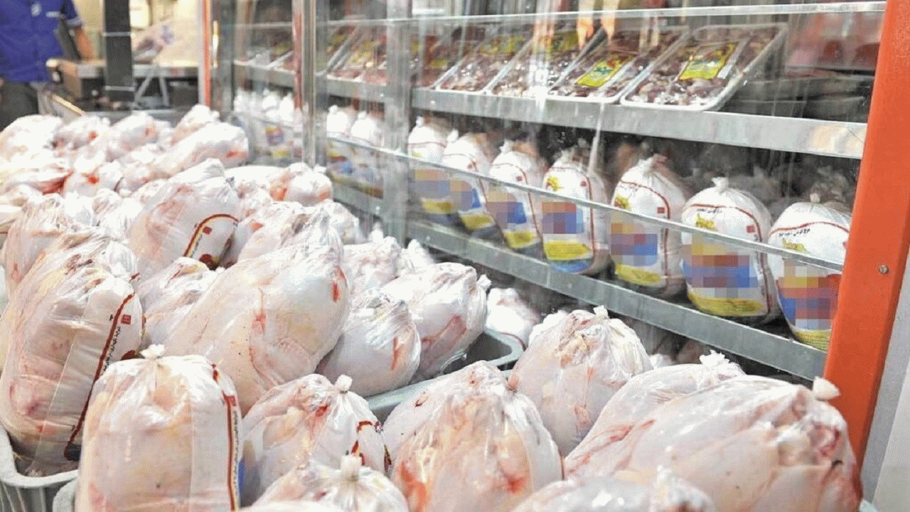 عرضه مرغ منجمد در بازار مازندران آغاز شد