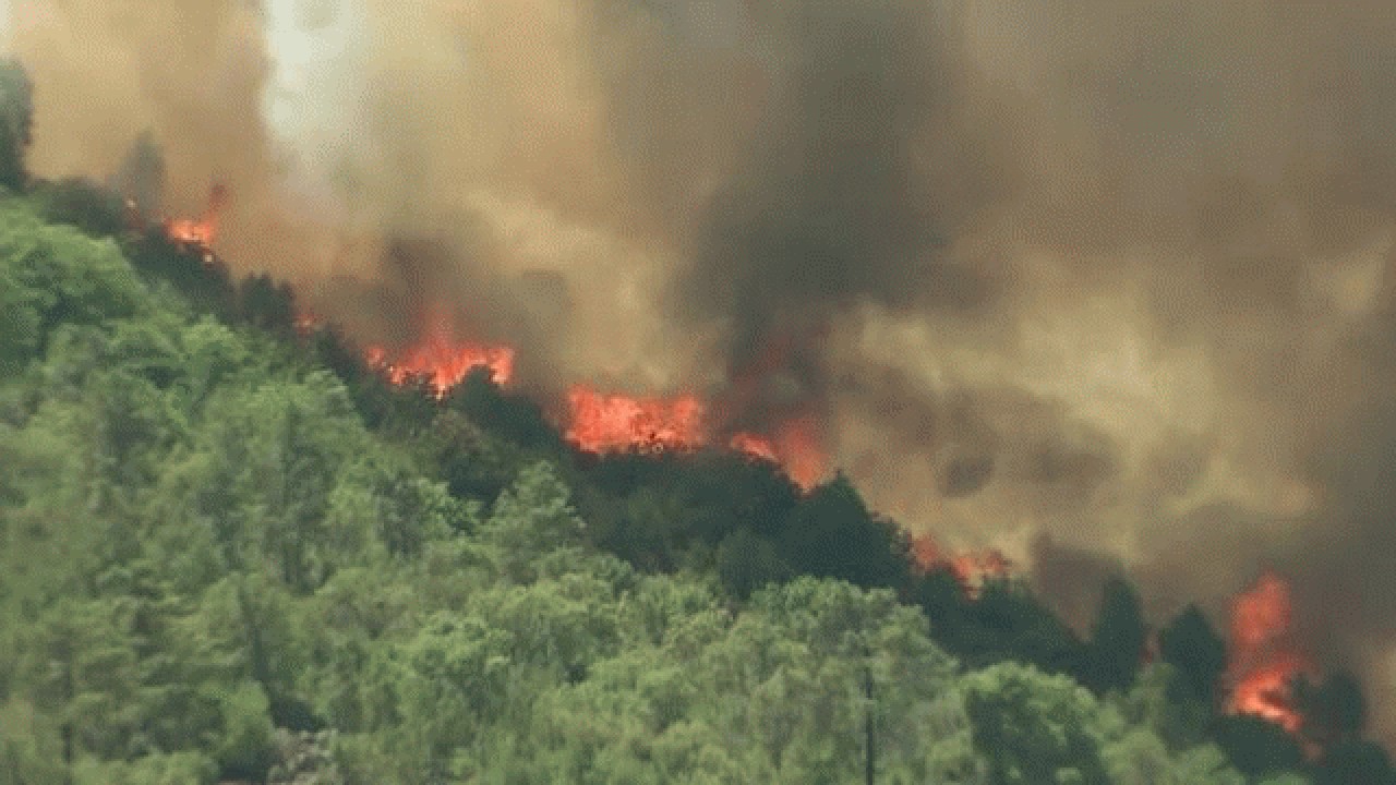 هشدار آتش سوزی در جنگل های مازندران