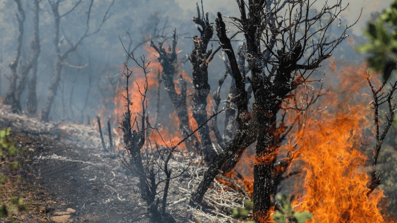 آتش سوزی جنگل های سکوتپه ساری اطفا شد