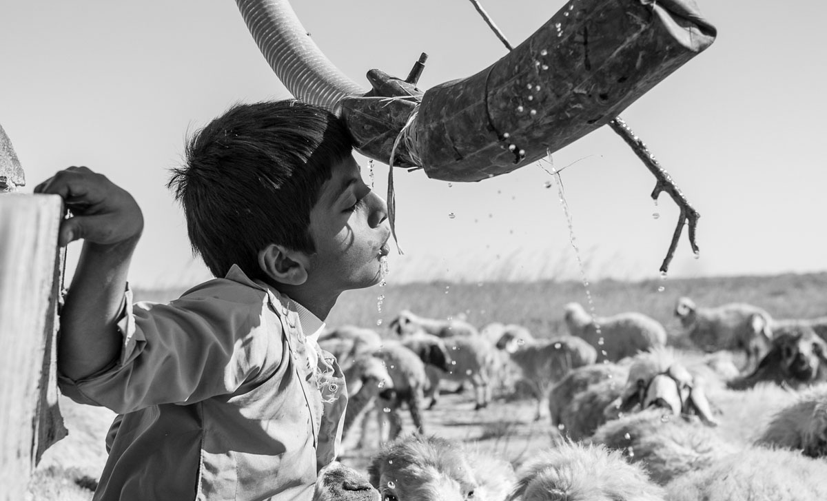 خودکفایی ناگهانی به بهای خشکسالی در مازندران