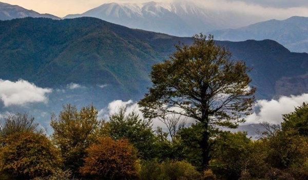 محیط زیست مازندران با احداث تله‌کابین در جنگل های الیمستان موافقت کرد!