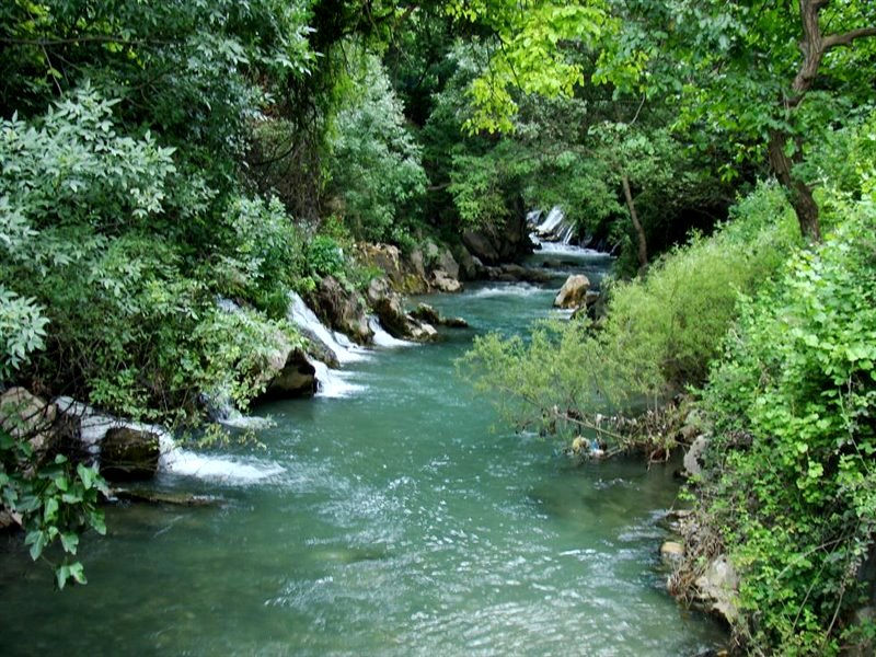 رودخانه های مازندران آلوده است
