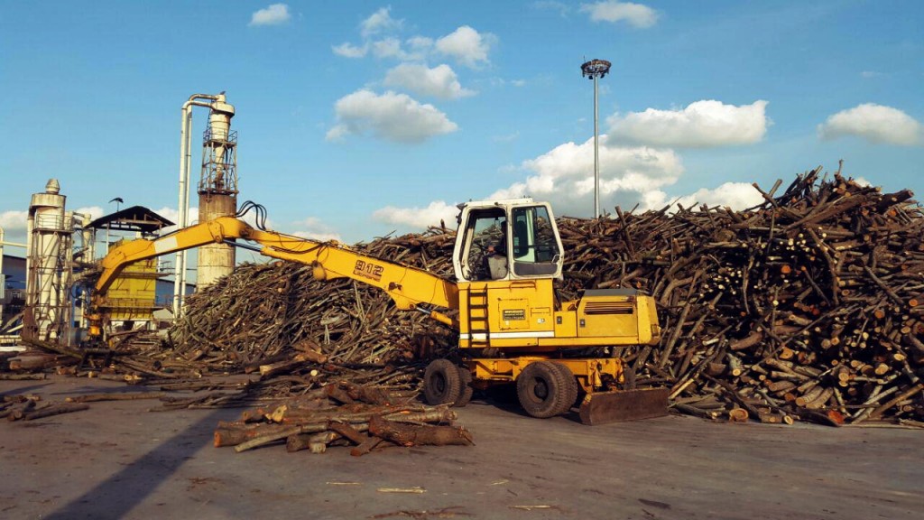 نیاز اقتصادی مهم ترین دلیل قاچاق چوب در مازندران
